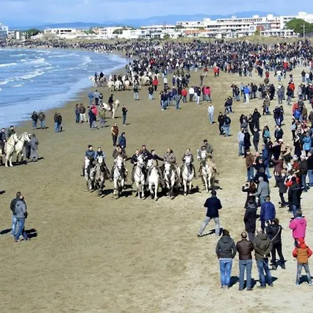Apartment 2 Pieces, 6 Pers, Proche Plage, Animaux Acceptes, Parking - Fr-1-307-247