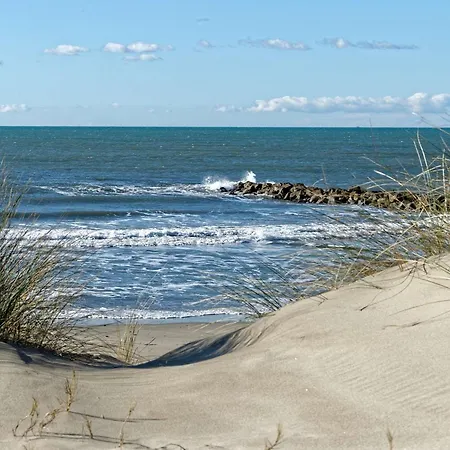 Apartment 2 Pieces, 6 Pers, Proche Plage, Animaux Acceptes, Parking - Fr-1-307-247 *