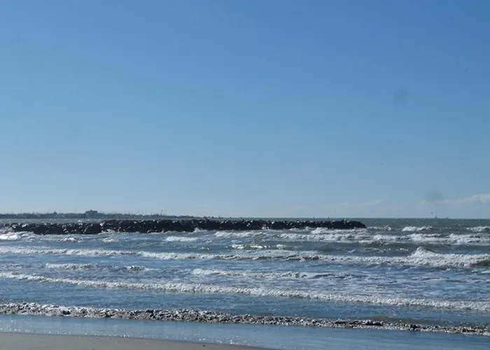 Διαμέρισμα 2 Pieces En Rez-de-jardin, Proche Plage, Animaux Admis - Fr-1-307-247 Le Grau-du-Roi