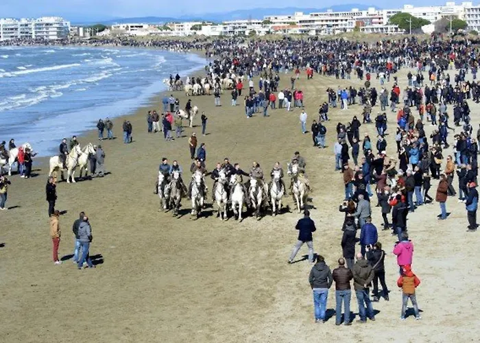 Διαμέρισμα 2 Pieces En Rez-de-jardin, Proche Plage, Animaux Admis - Fr-1-307-247