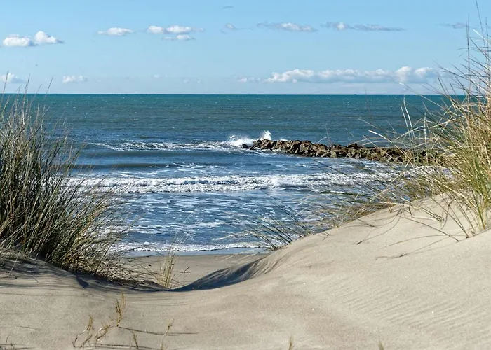 Διαμέρισμα 2 Pieces En Rez-de-jardin, Proche Plage, Animaux Admis - Fr-1-307-247 *