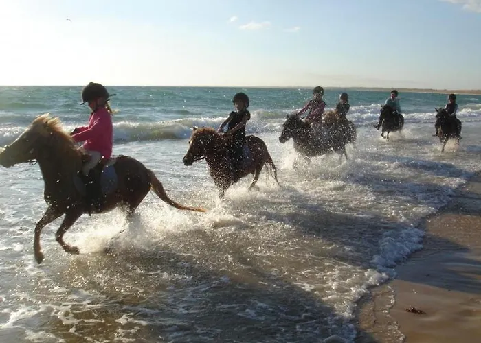 2 Pieces En Rez-de-jardin, Proche Plage, Animaux Admis - Fr-1-307-247 Διαμέρισμα Le Grau-du-Roi
